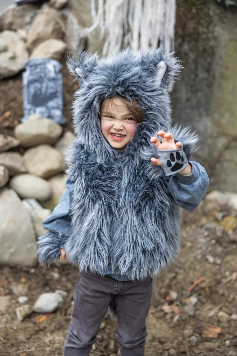 Big Bad Wolf Costume Size 3-4